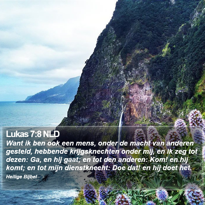 Lukas 7:8 NLD Bible Study