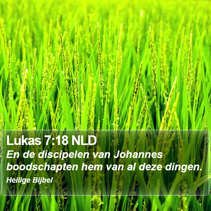 Lukas 7:18 NLD Bible Study