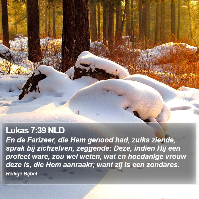 Lukas 7:39 NLD Bible Study