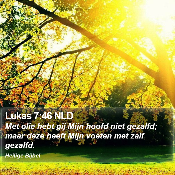 Lukas 7:46 NLD Bible Study