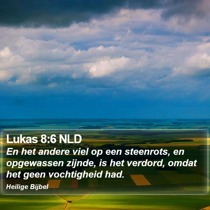 Lukas 8:6 NLD Bible Study
