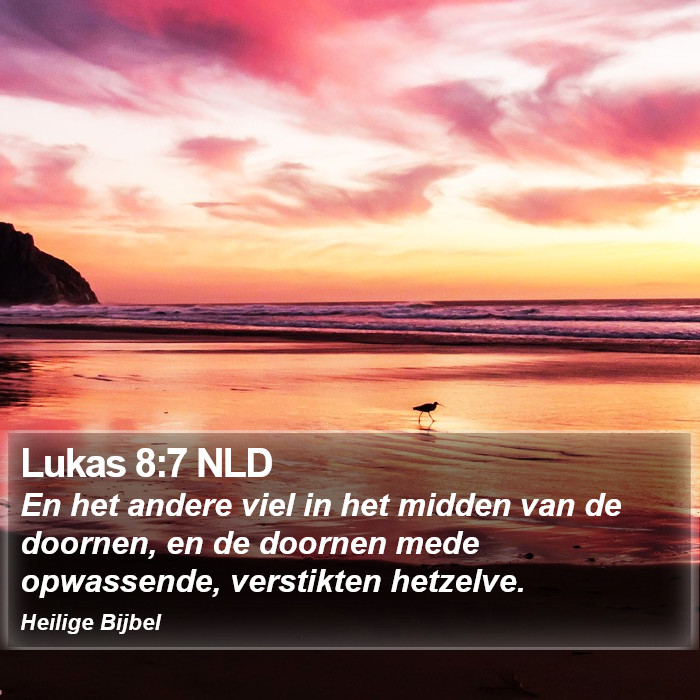 Lukas 8:7 NLD Bible Study