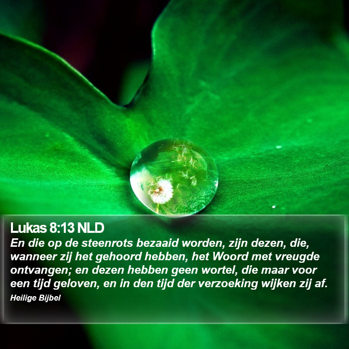 Lukas 8:13 NLD Bible Study