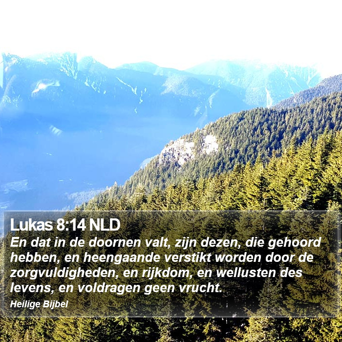 Lukas 8:14 NLD Bible Study