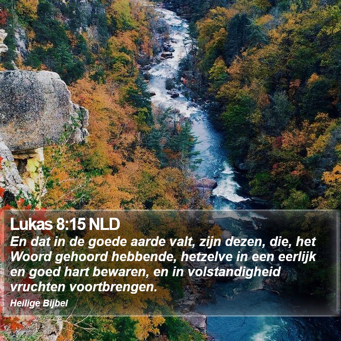 Lukas 8:15 NLD Bible Study