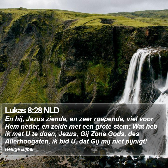 Lukas 8:28 NLD Bible Study