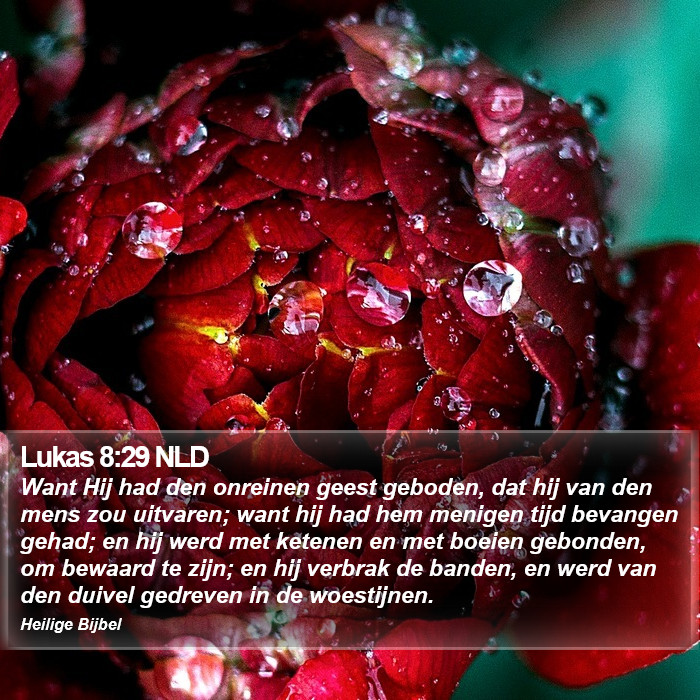 Lukas 8:29 NLD Bible Study