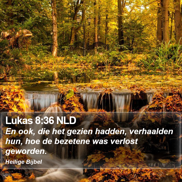 Lukas 8:36 NLD Bible Study