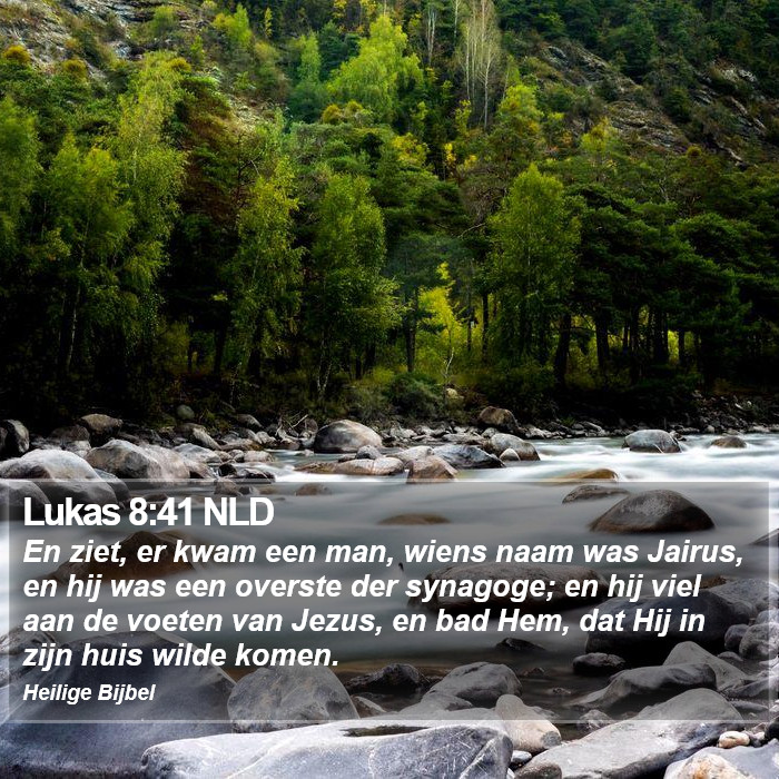 Lukas 8:41 NLD Bible Study