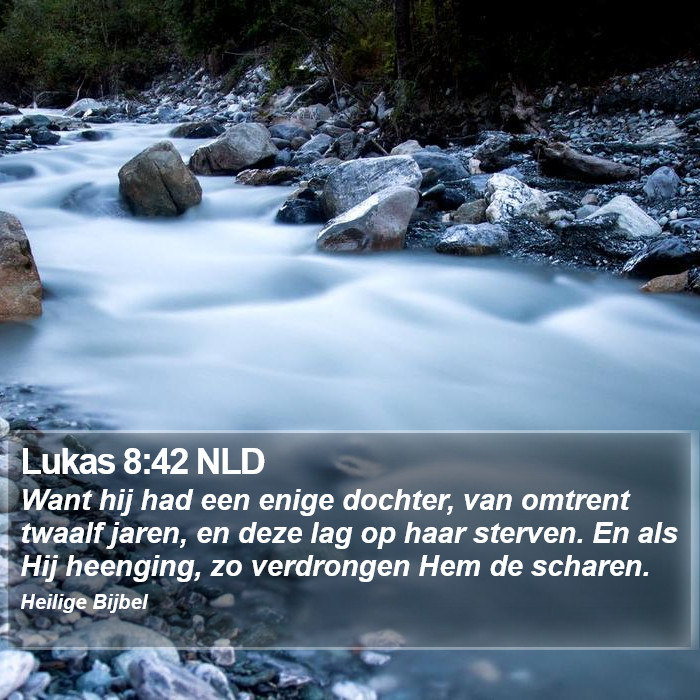 Lukas 8:42 NLD Bible Study