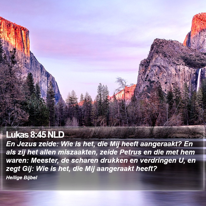 Lukas 8:45 NLD Bible Study