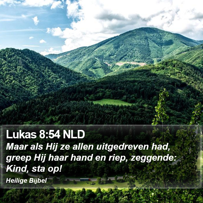 Lukas 8:54 NLD Bible Study