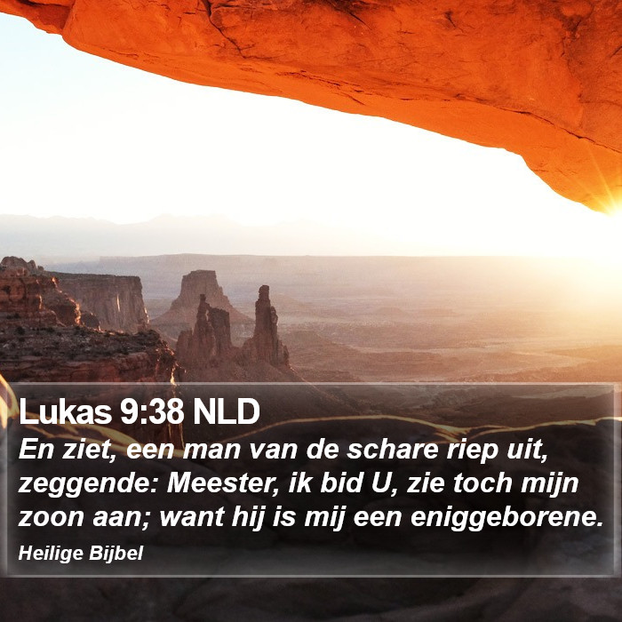 Lukas 9:38 NLD Bible Study