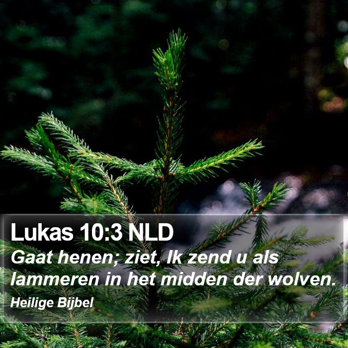Lukas 10:3 NLD Bible Study