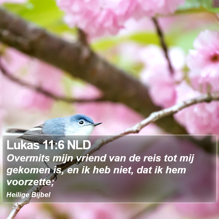 Lukas 11:6 NLD Bible Study