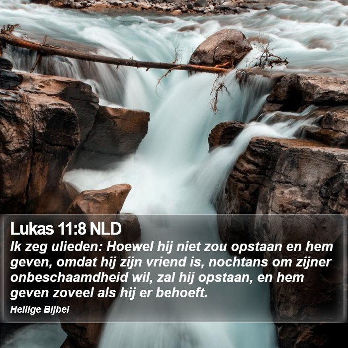 Lukas 11:8 NLD Bible Study