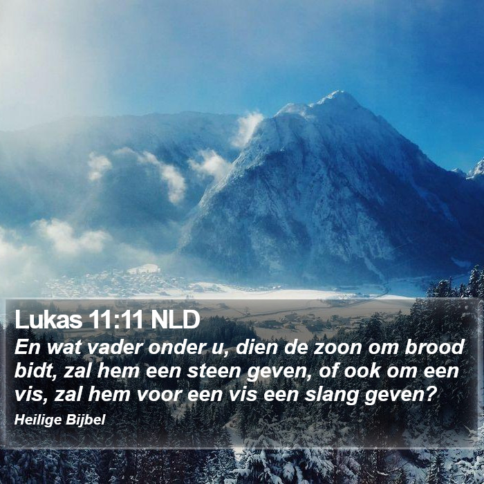 Lukas 11:11 NLD Bible Study