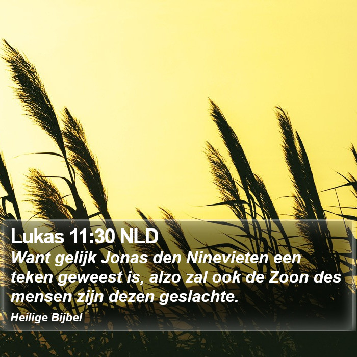 Lukas 11:30 NLD Bible Study