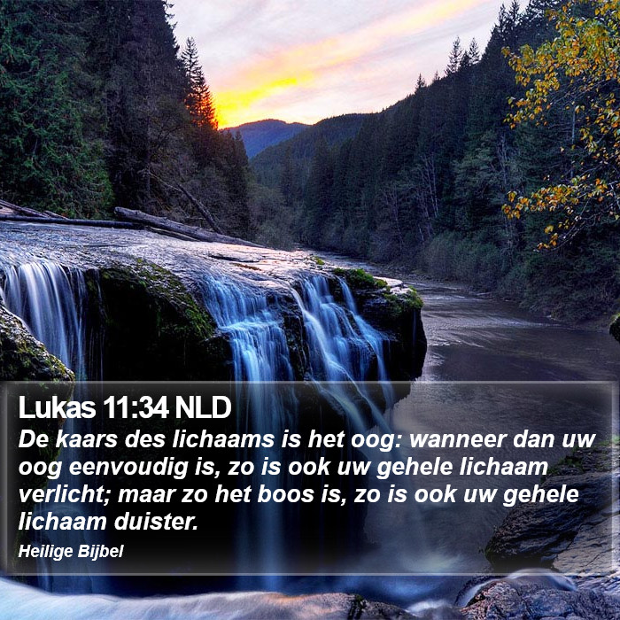 Lukas 11:34 NLD Bible Study