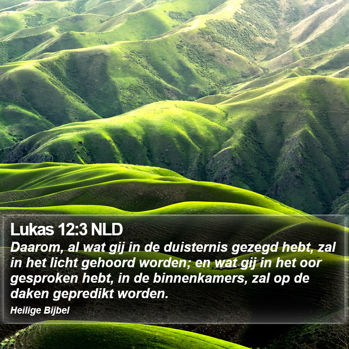 Lukas 12:3 NLD Bible Study
