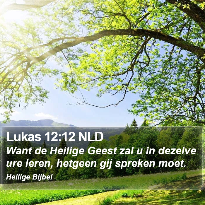 Lukas 12:12 NLD Bible Study