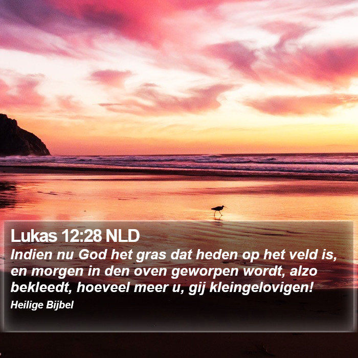 Lukas 12:28 NLD Bible Study