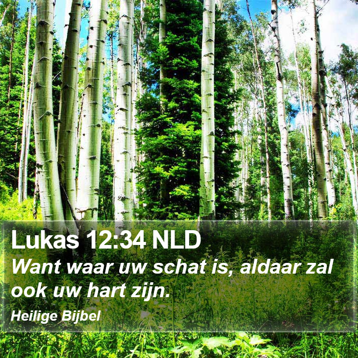 Lukas 12:34 NLD Bible Study