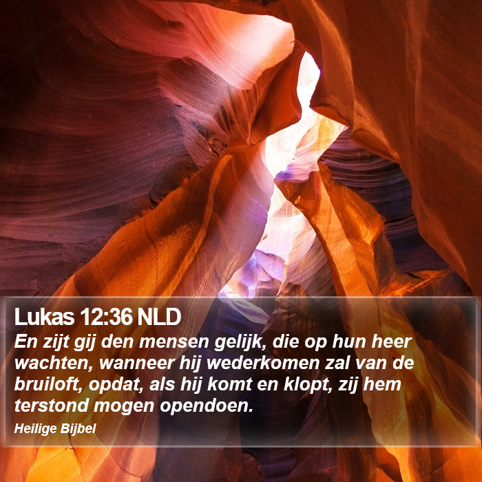 Lukas 12:36 NLD Bible Study