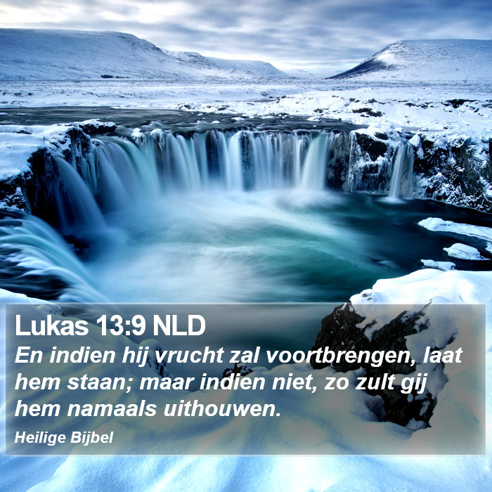 Lukas 13:9 NLD Bible Study