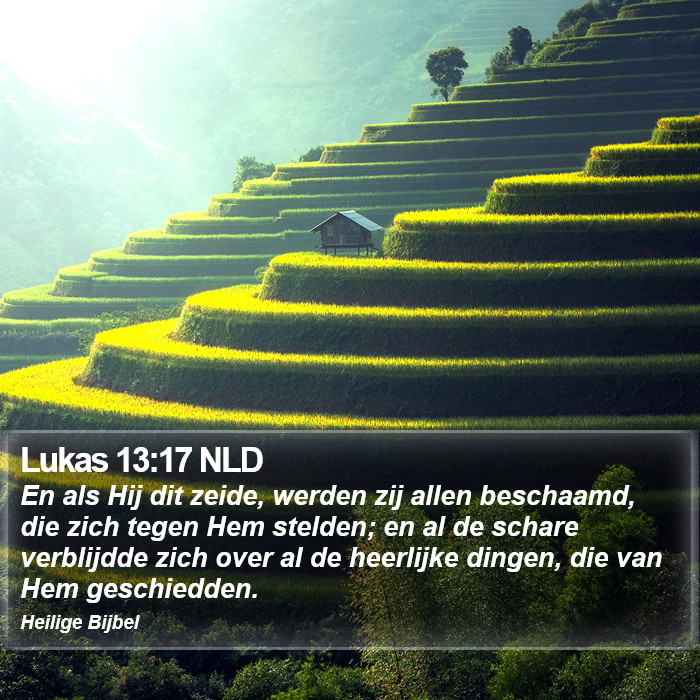 Lukas 13:17 NLD Bible Study