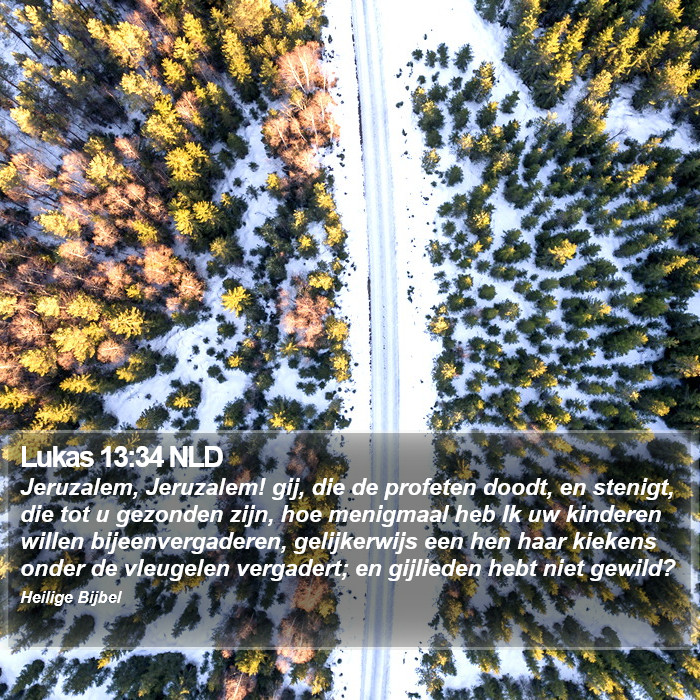 Lukas 13:34 NLD Bible Study