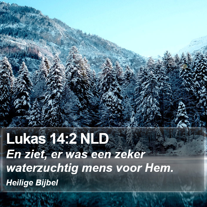 Lukas 14:2 NLD Bible Study