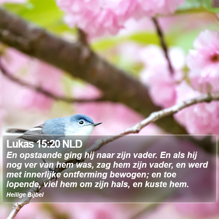 Lukas 15:20 NLD Bible Study