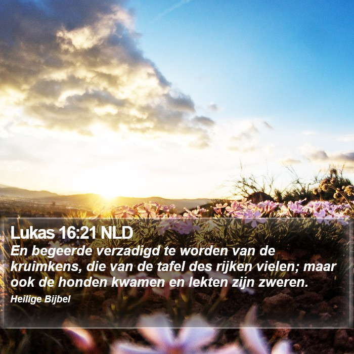 Lukas 16:21 NLD Bible Study