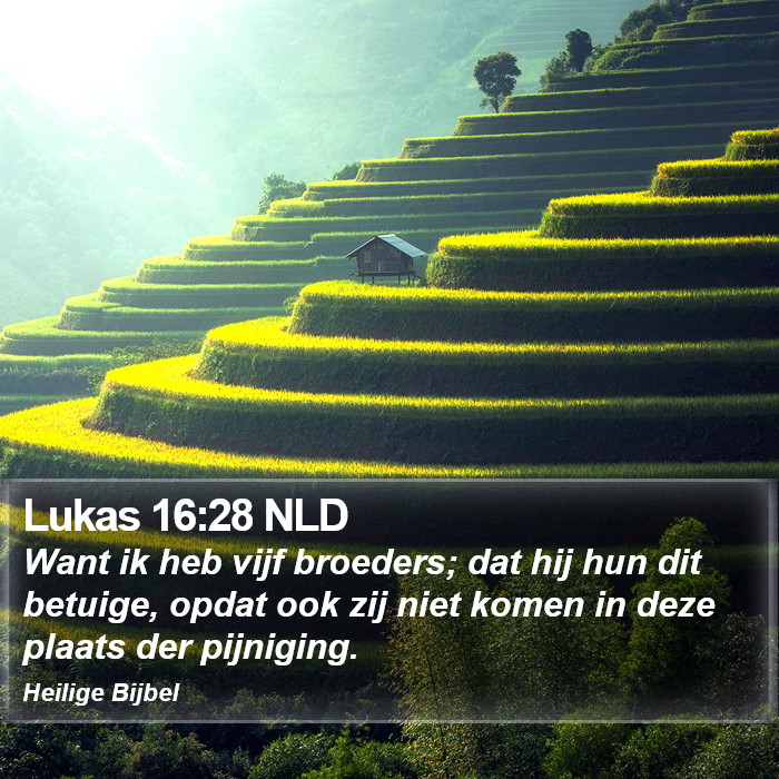 Lukas 16:28 NLD Bible Study