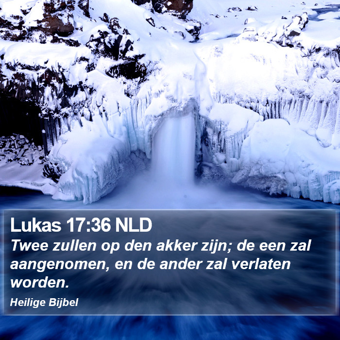 Lukas 17:36 NLD Bible Study