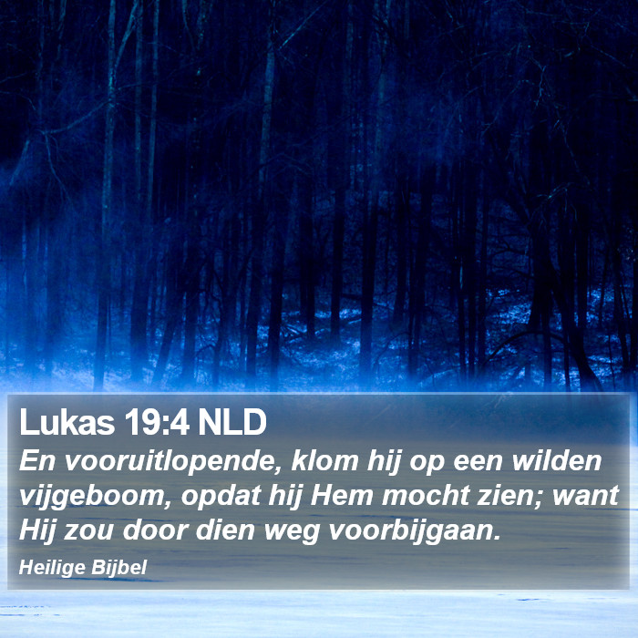 Lukas 19:4 NLD Bible Study