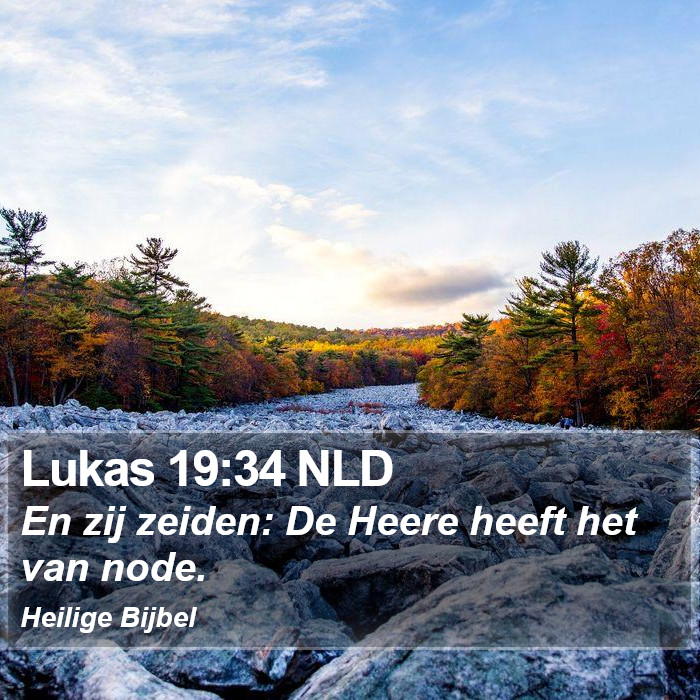 Lukas 19:34 NLD Bible Study