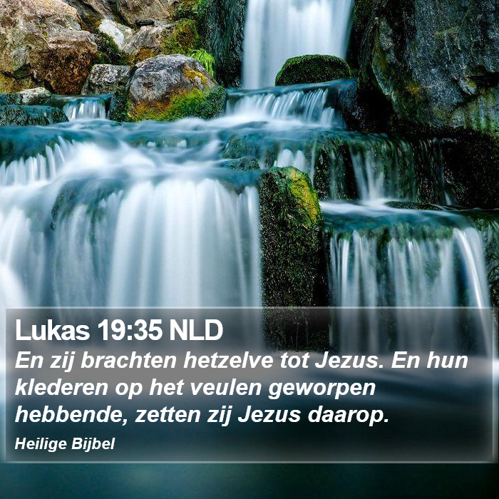 Lukas 19:35 NLD Bible Study