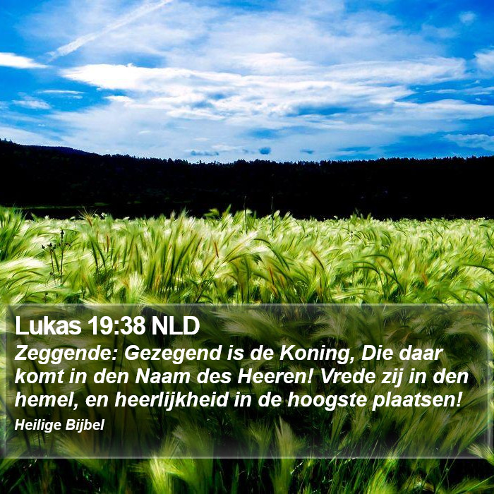 Lukas 19:38 NLD Bible Study