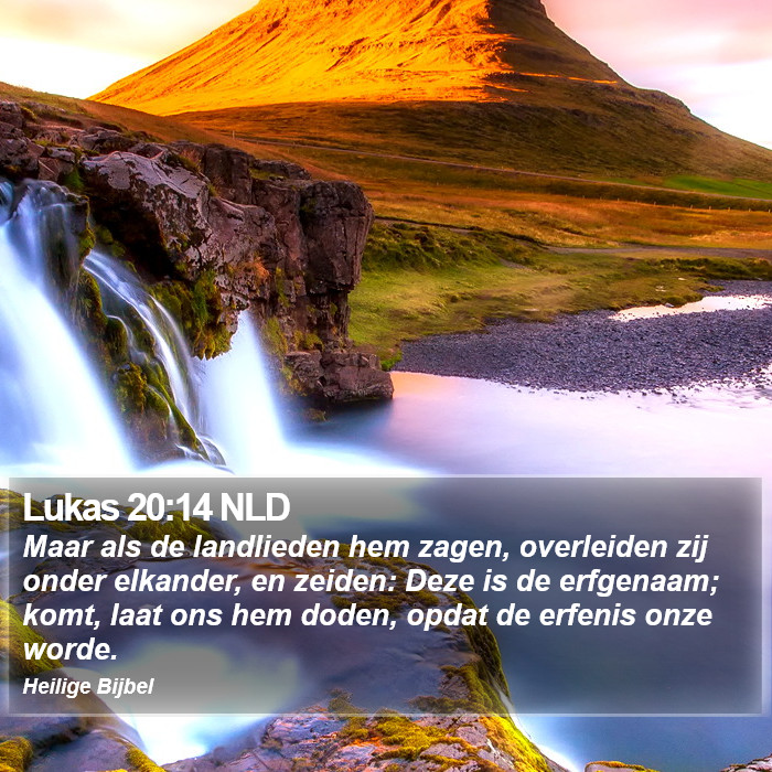 Lukas 20:14 NLD Bible Study