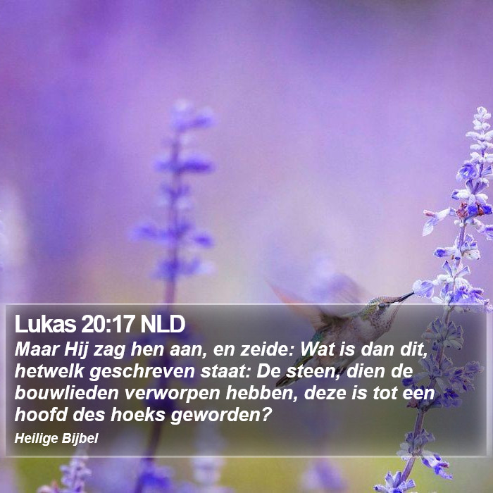 Lukas 20:17 NLD Bible Study