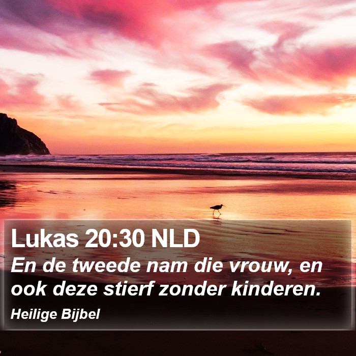 Lukas 20:30 NLD Bible Study
