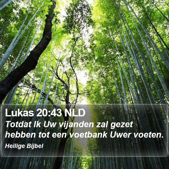 Lukas 20:43 NLD Bible Study