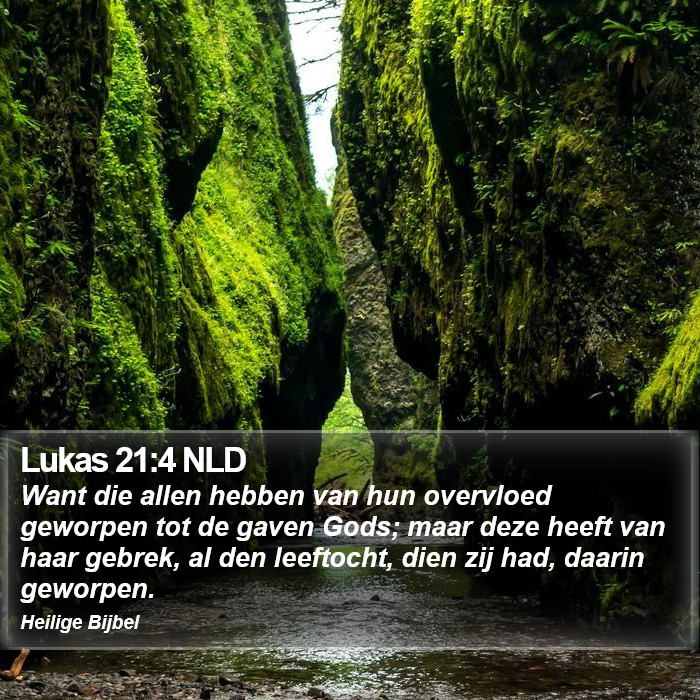 Lukas 21:4 NLD Bible Study