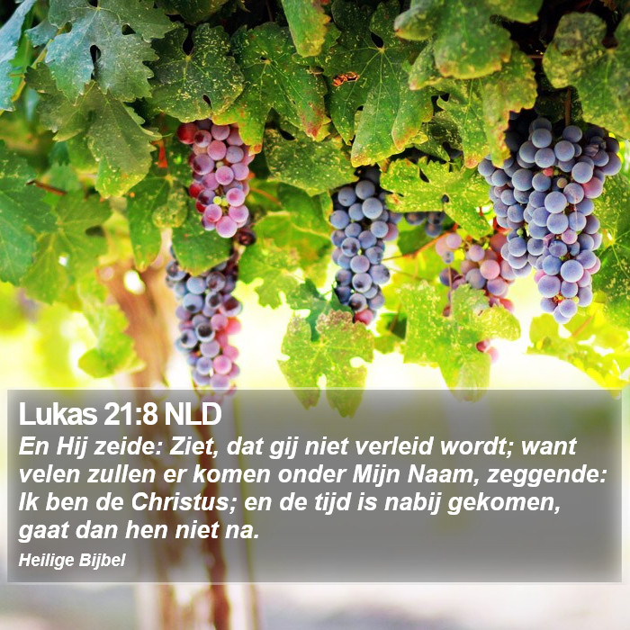 Lukas 21:8 NLD Bible Study