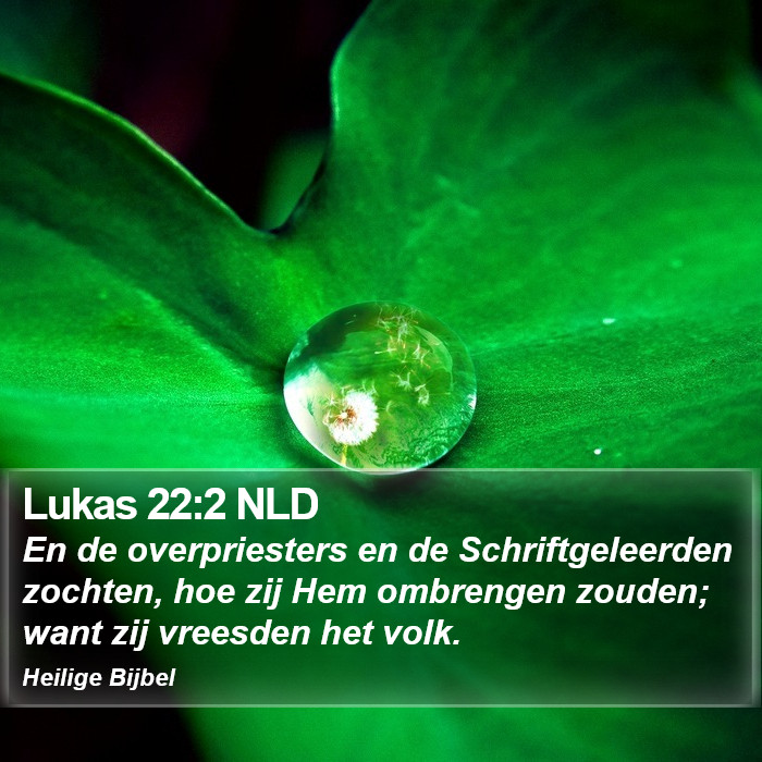 Lukas 22:2 NLD Bible Study