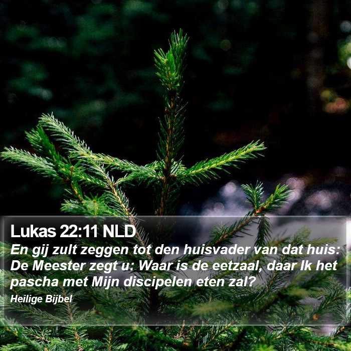 Lukas 22:11 NLD Bible Study