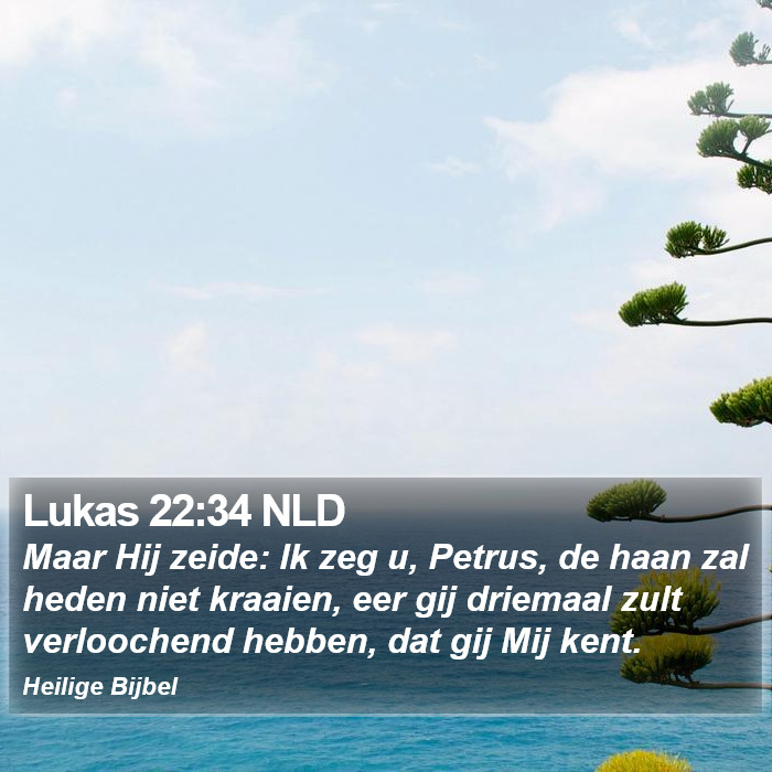 Lukas 22:34 NLD Bible Study