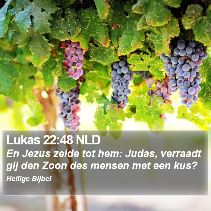 Lukas 22:48 NLD Bible Study